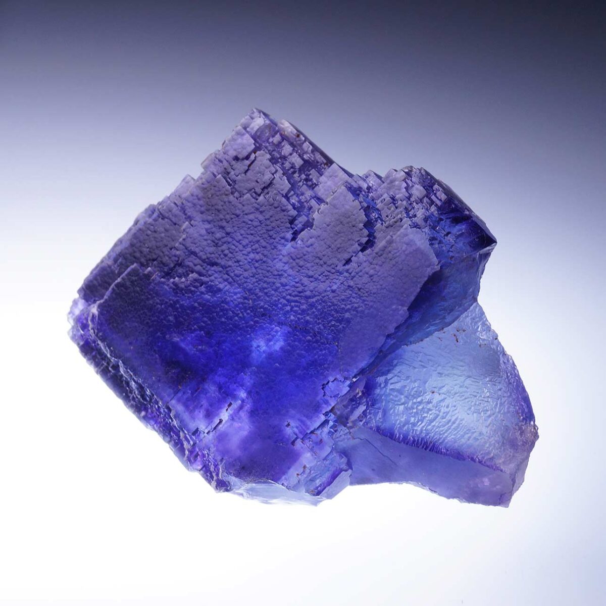 Fluorite La Viesca Mine M05493 - Imagen 5